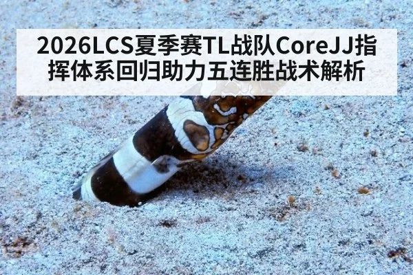 2026LCS夏季赛TL战队CoreJJ指挥体系回归助力五连胜战术解析