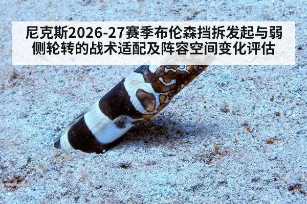 尼克斯2026-27赛季布伦森挡拆发起与弱侧轮转的战术适配及阵容空间变化评估